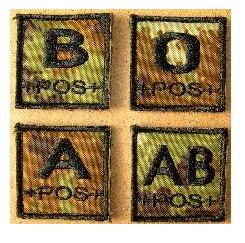 Blood Type patch vegetato - 4x4 cm