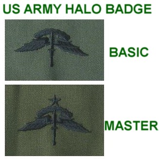 US ARMY  HALO Badge ricamato su tessuto