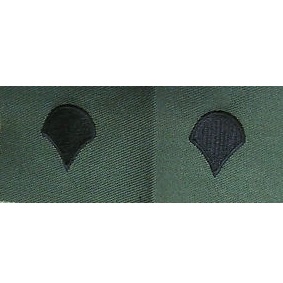 US ARMY E-4 specialist gradi ricamati in verde oliva