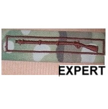 USAF CIB Expert multicam ricamato su tessuto