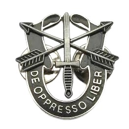 US Special Forces metal badge